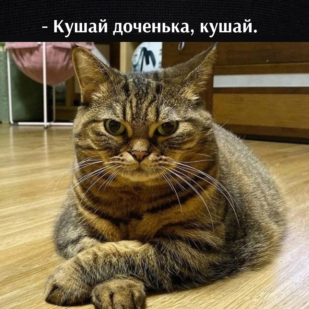       - 9  2025  11:04 - 4