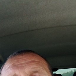 , 46, 