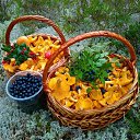 ���� ��������, ������, 84 ���� - ��������� 8 ���� 2026 � ������ ������ ��������