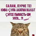 ���� ������, ������, 48 ��� - ��������� 3 ������ 2024 � ������ ���� ����������