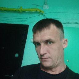 ����, 39 ���, ����������