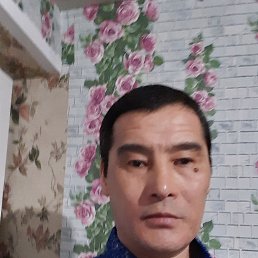 , 51 , 