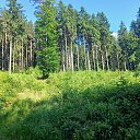 ���� �����, �������, 53 ���� - ��������� 19 �������� 2025