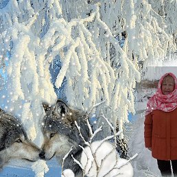 �������, ���������, 77 ���