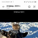���� ������, ����� �������, 53 ���� - ��������� 30 ��� 2026 � ������ ������ ��������