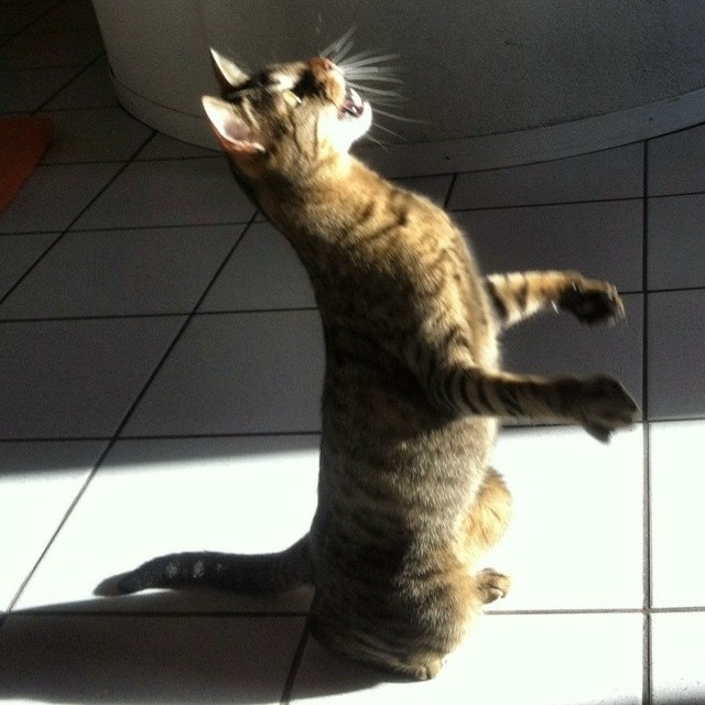 Позвольте исполнить песню, которая называется: