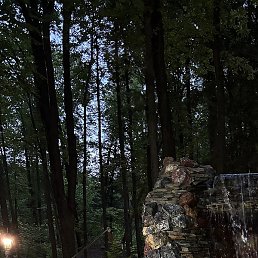 ������, ������-���, 37 ���