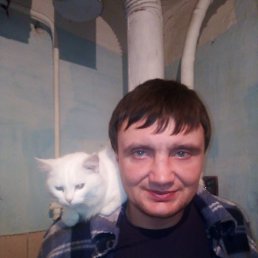 ������, 36 ���, ����