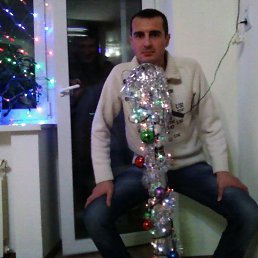 ���� �������, ���������, 50 ��� - ��������� 29 ������ 2026