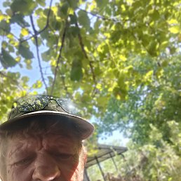 , 58, 