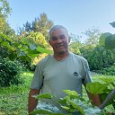 ���� ���������, ���������, 62 ���� - ��������� 16 ������� 2025 � ������ ���� ����������