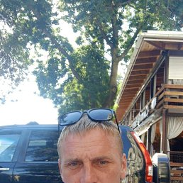 , 41,  