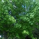 ���� Nata, �������, 71 ��� - ��������� 16 ����� 2026 � ������ ���� ����������