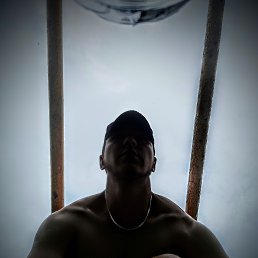 , 29, 