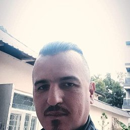 ���������, �������, 40 ���