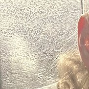 ����, 19 ���, �����-���������