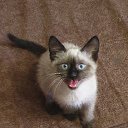 ���� �������, ������, 55 ��� - ��������� 24 ������� 2025 � ������ ������� ���