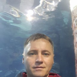 ���������, 44 ����, �����������