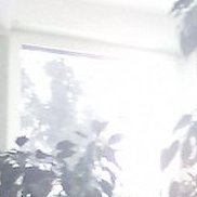 ����, 44 ����, ������