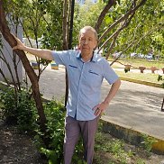 ��������, 61 ���, ���������