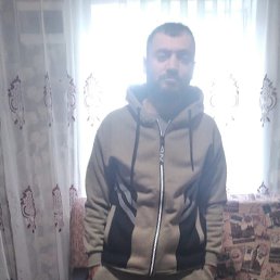 , 37, 