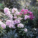 ���� ������, �����-���������, 70 ��� - ��������� 28 ���� 2025 � ������ �����