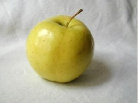 ������ ������. ��������. ������ ���: ������ �������� ��������� ������ �� ������������� �� ������� ...