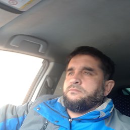 ���� ������, �����-���������, 37 ��� - ��������� 4 ����� 2024