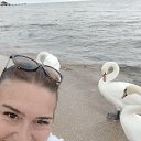 ���� �������, ����, 42 ���� - ��������� 23 ������� 2025