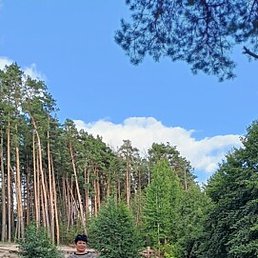 �����, �����������