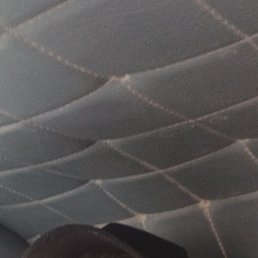 ����, �����, 42 ����