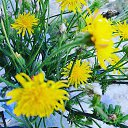 ���� ���������, ������, 40 ��� - ��������� 25 ������� 2025 � ������ ���� ����������