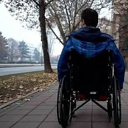 �����, ������, 49 ���