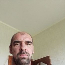 , 43 , 