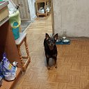 ���� �������, ������, 38 ��� - ��������� 9 ����� 2024 � ������ ���� ����������