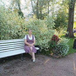 , 53, 