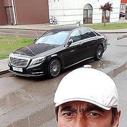 ����� ���, ������, 33 ����