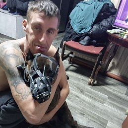 ��������, 40 ���, ��������