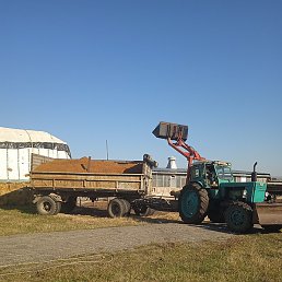 ���������, ������-��-����, 48 ���