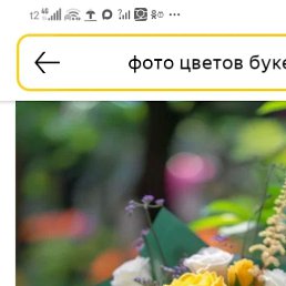 ���� �����, ������, 44 ���� - ��������� 19 ����� 2026