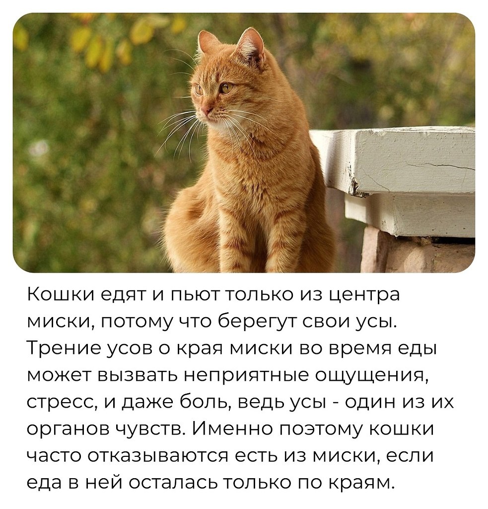 Discovery - 14 ���� 2025 � 11:48