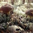 ���� ������, ���������, 62 ���� - ��������� 6 ������ 2024 � ������ ���� ����������