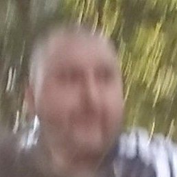 �����, �������, 78 ���