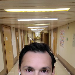 , 42, 