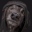 ���� ���, ������, 53 ���� - ��������� 9 ����� 2025 � ������ �������� �������