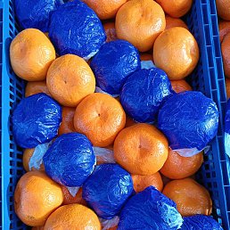 ����, ���������, 25 ���