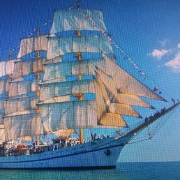 ���� �����, ���������, 44 ���� - ��������� 24 ������ 2023