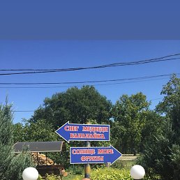 ������, ��������, 44 ����