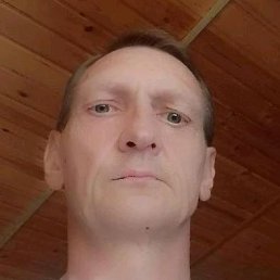 , 46, 