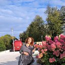 ���� ��������, ������ �������� - ��������� 24 ������� 2024 � ������ ���� ����������